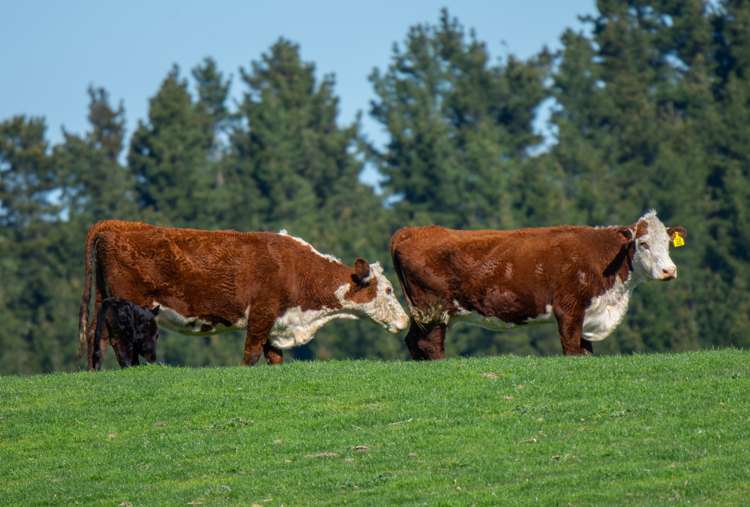 370 Gore Bay Road Gore Bay_17