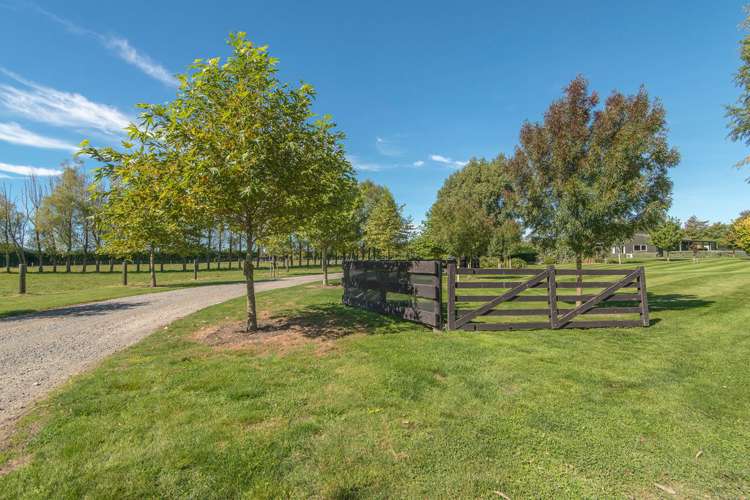 169 Chattertons Road Templeton_19