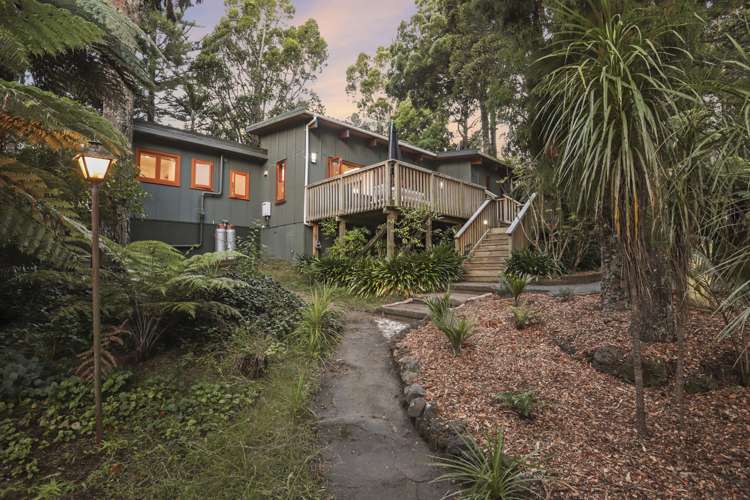 78 Waima Crescent Titirangi_6