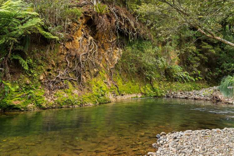 179 Lund Road Aongatete_19