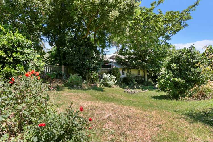 7/2 Fairview Road Mount Eden_8