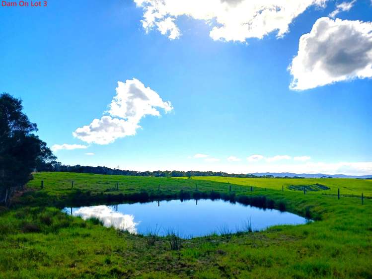 Lots 1-4 Tahanga Road Lake Ohia_7