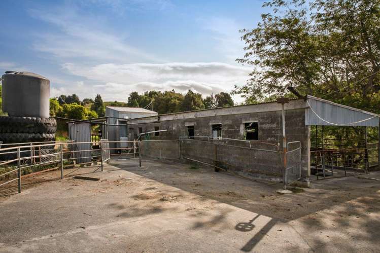 58 Deam Road Waihi_34