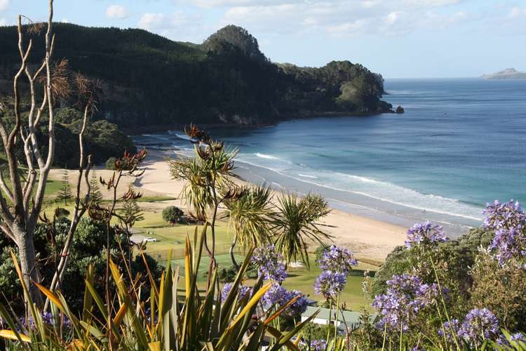 420 Onemana Drive Onemana_1