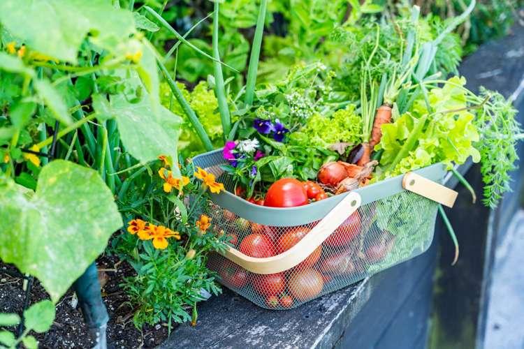 3 Bickerstaffe Road_4