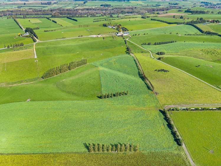 243 Matthew Road Temuka_11