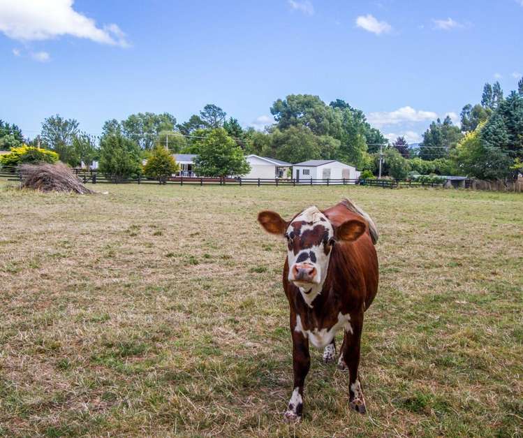 138 Kent Street Carterton_23