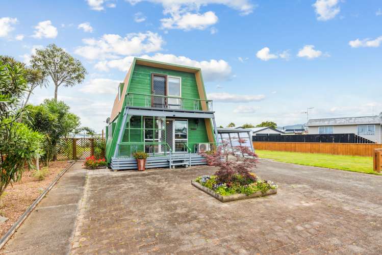 17 Martin Harvey Street Levin_18