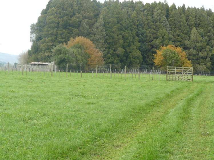 340 Otewa Road Otorohanga_19