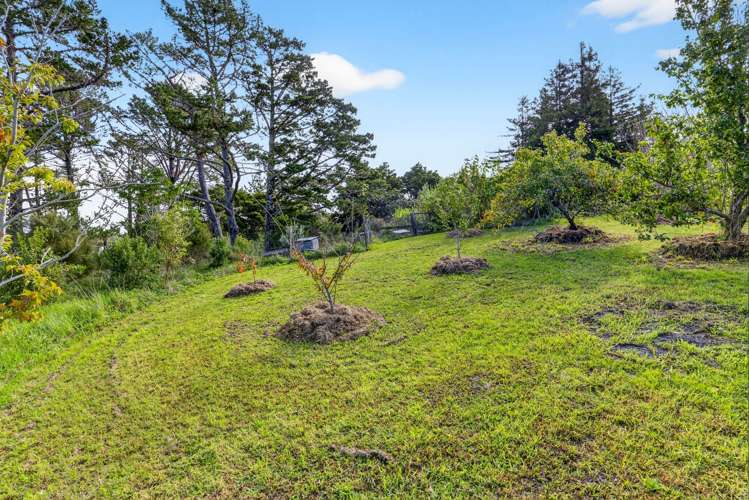 263A Raepare Creek Lane Kaiwaka_18