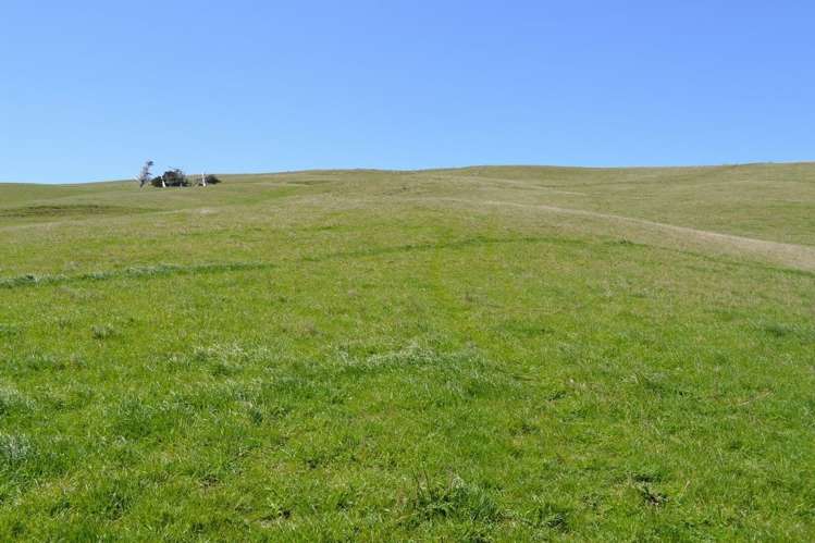 42 Southdale Road Ocean Grove_7