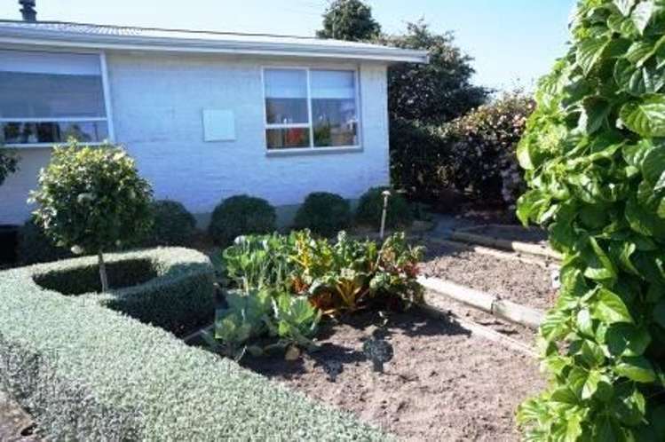 17 Clayton Road Amberley_18