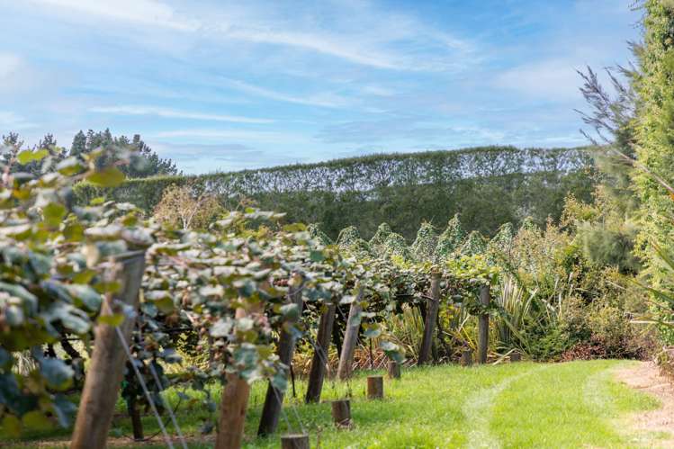 331 Maniatutu Road Pongakawa_4