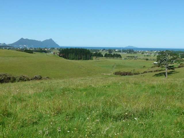 171 Prescott Road Ruakaka_3