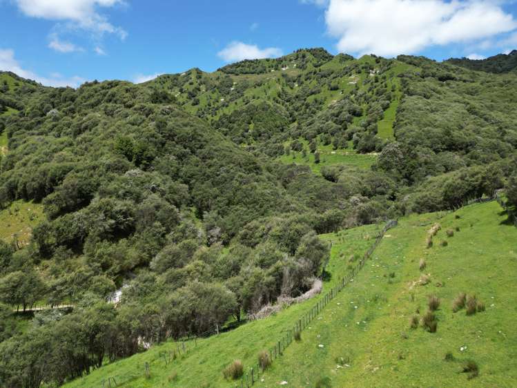 Trussells Track, Tawata Road Taumarunui_12