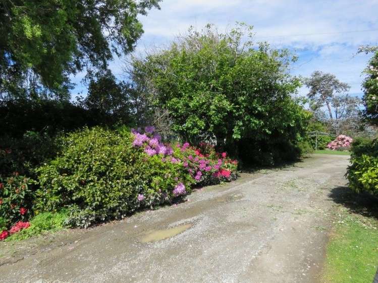 54 Bethunes Lane Waihopai_10