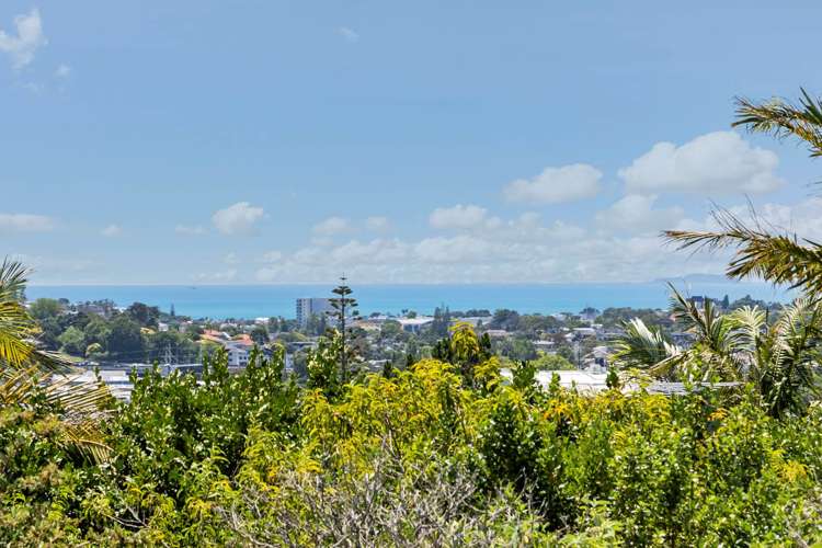 19 Beatrice Avenue Hillcrest_11