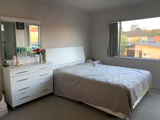 47 Mandival Avenue Flat Bush_3