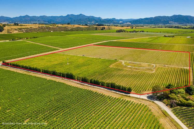 287 Brancott Road Fairhall_4