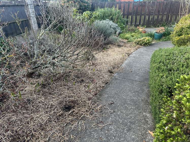 24 Davidson Street Allenton_22