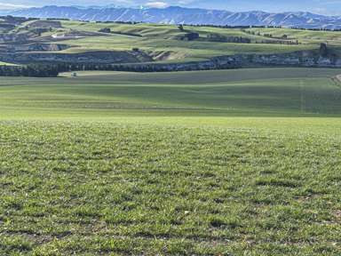 594 Tokarahi-Ngapara Road_3