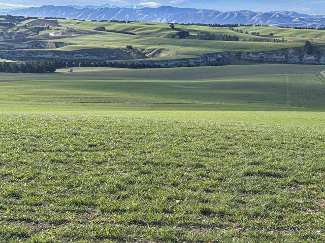 594 Tokarahi-Ngapara Road Ngapara_3