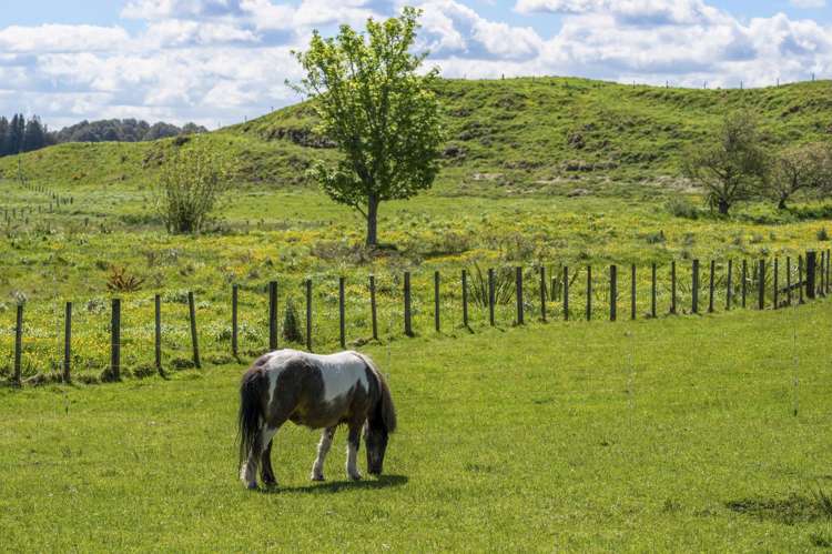 1168 Oturoa Road Hamurana_22