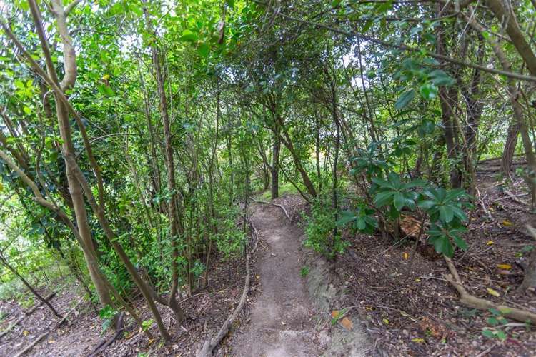 29 Whareora Terrace Cashmere_29