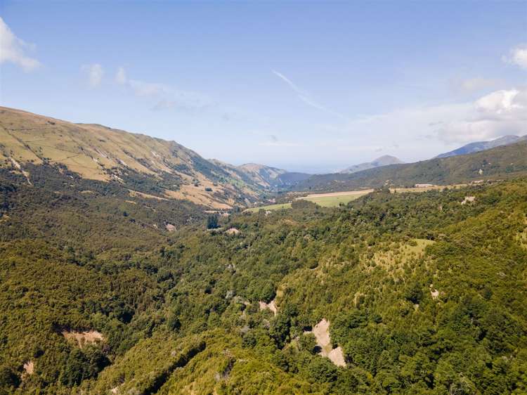 1178 Puhi Puhi Road Puhi Puhi_2