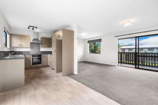 17 Arnold Street 11373_2