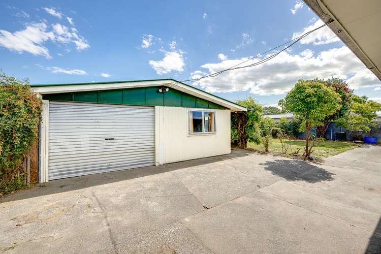 5 Plunket Street Tamatea_2