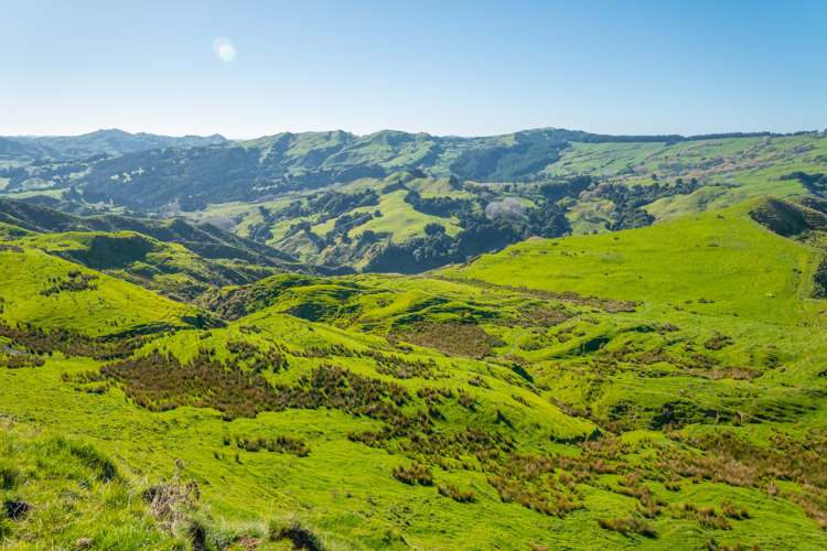 229 Rangikohua Road Tolaga Bay_20