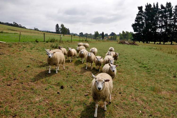 4 Railway Street Five Forks and Surrounds_0