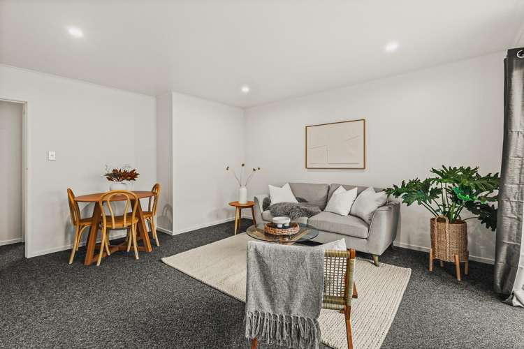 2/163 Nelson Crescent Napier South_7