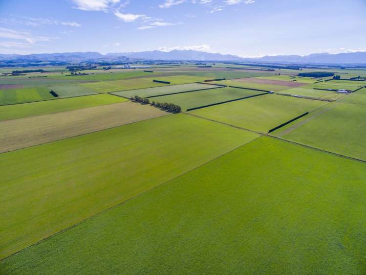 379 Kimberley Road Darfield_11