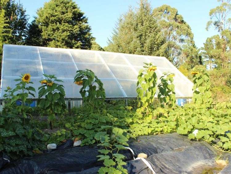 466 Wangapeka Road Kahurangi National Park_5