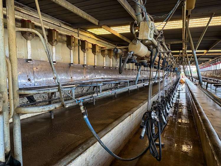 427 + 585 Marshall Road Awarua_19