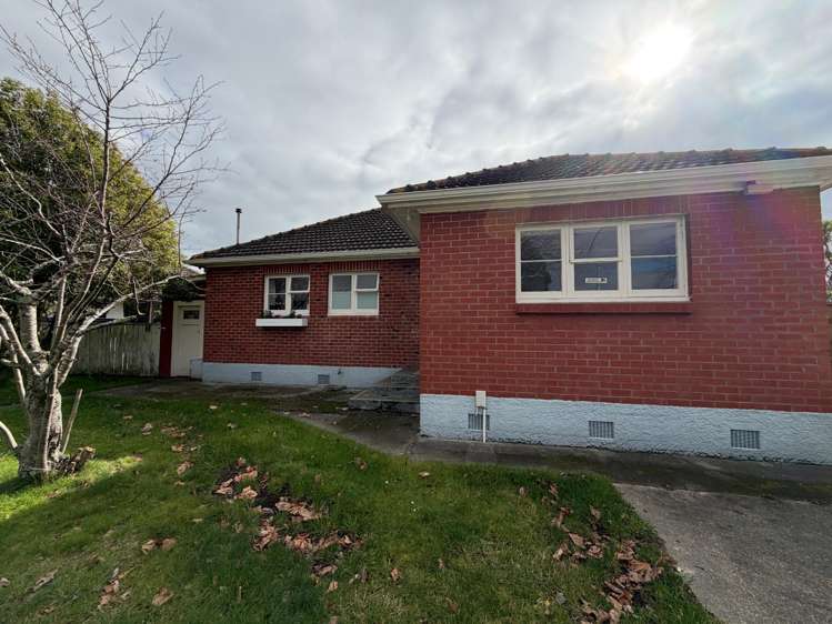  45 Rangiora Avenue Roslyn_12