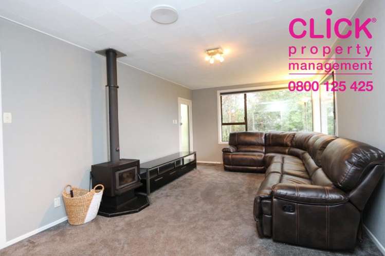 14 Larnach Road Waverley_7