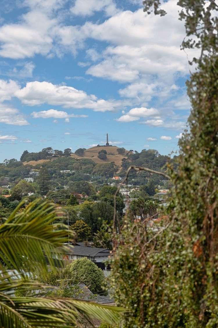 8/23b Hillsborough Road Hillsborough_13