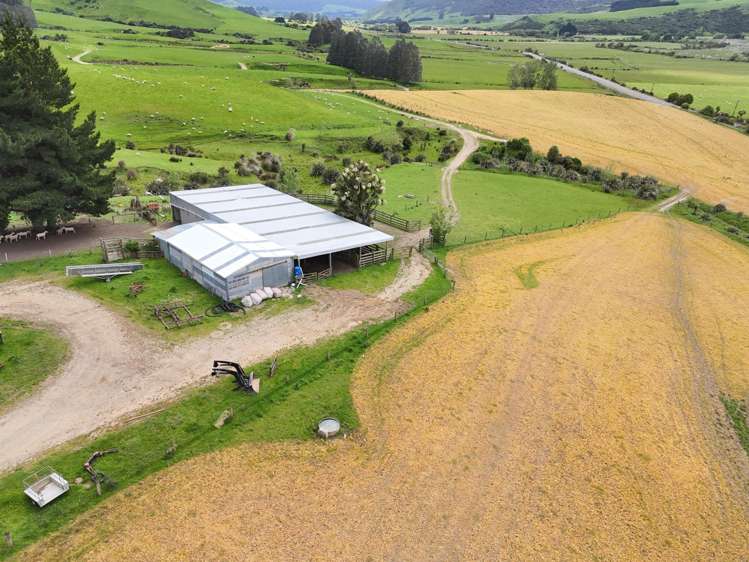 124 Niagara Waikawa Road Niagara_7