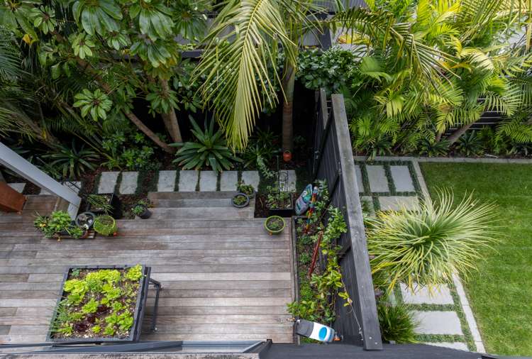 20a Webber Street Westmere_8