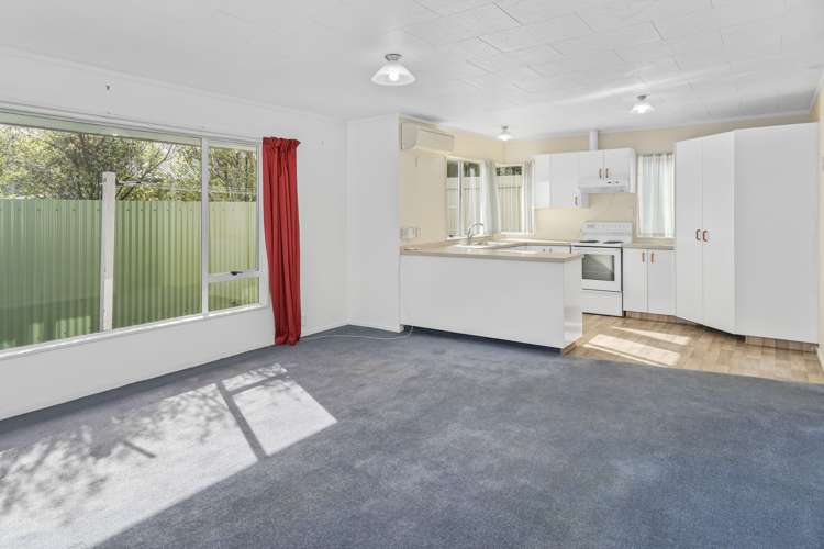 147 Songer Street Stoke_5