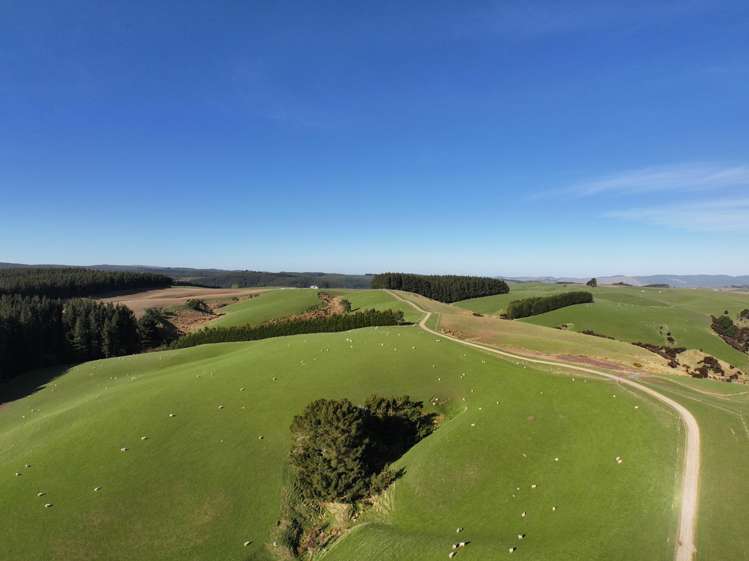 759 Waitahuna Gully Road Waitahuna_8