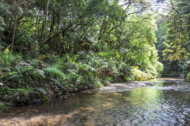 324 Glenmohr Road Waipu_1