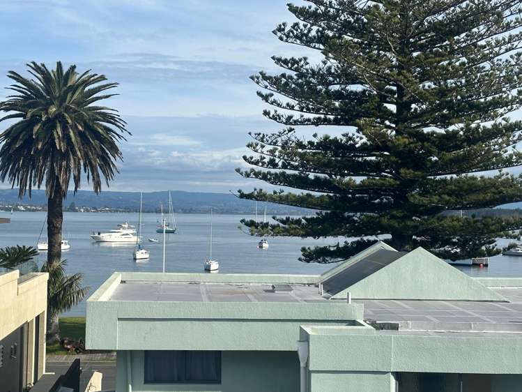 3b Prince Avenue Mount Maunganui_9