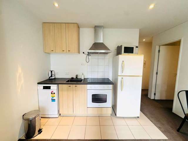 305/10 Ronayne Street Parnell_3