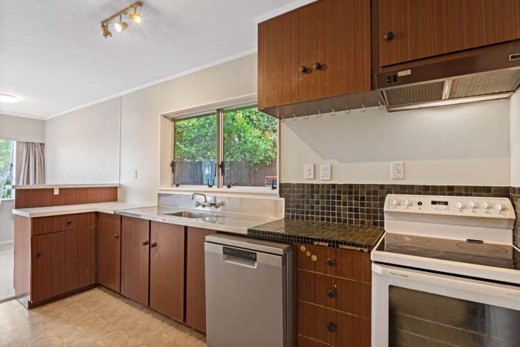 177A Vauxhall Road Narrow Neck_5