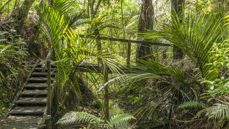 122 Munro Road Wairoa_17