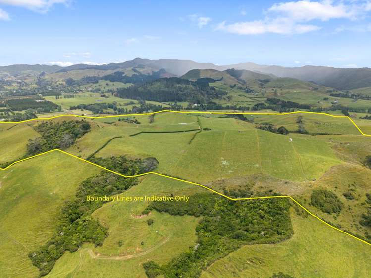 368 Waihi-Whangamata Road Waihi_13